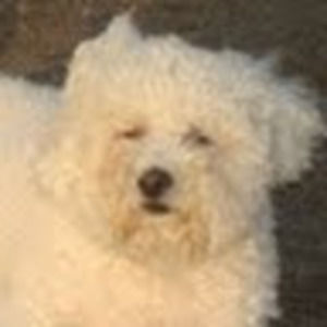 Meet your Posher, Angie